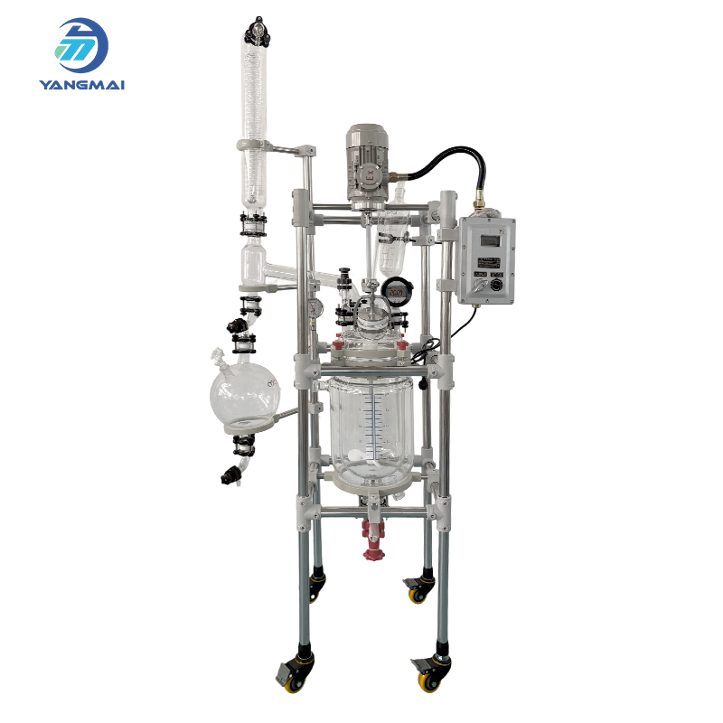 كيفية صيانة مفاعل الزجاج والعناية به - نصائح الخبراء من شركة Yangmai Reactor