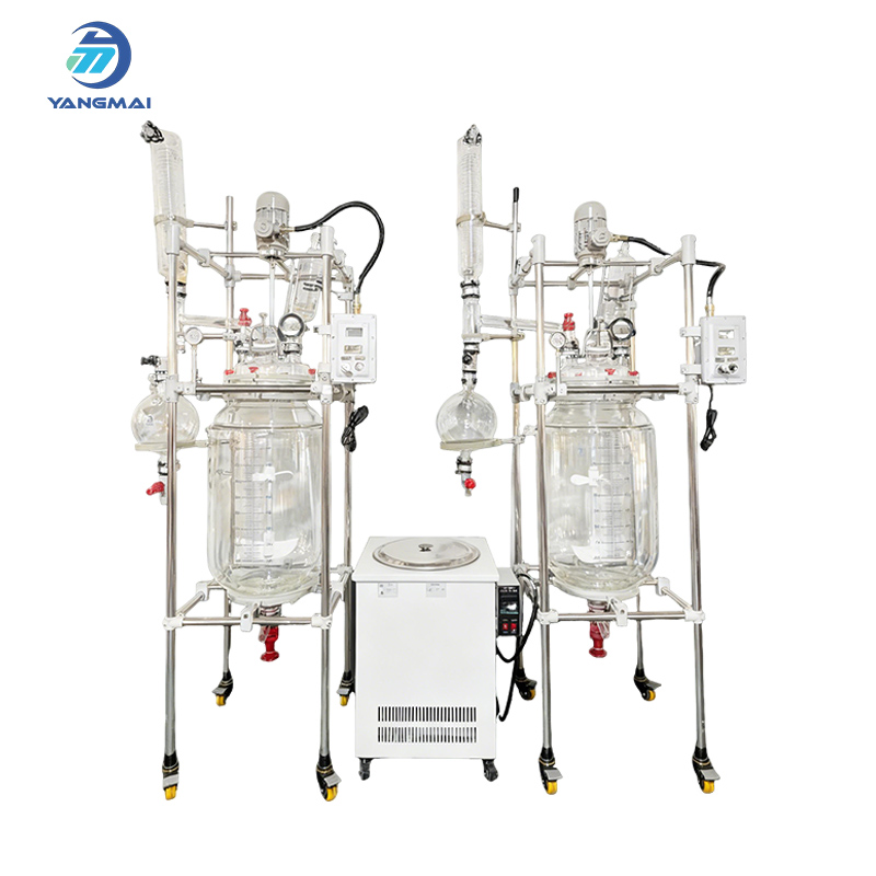 Glass Reactor for Chemical Reaction